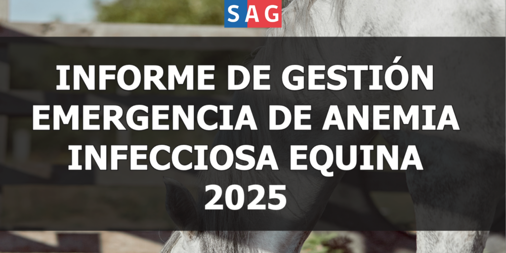 Banner pagina web achve